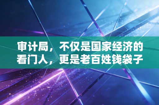 审计局，不仅是国家经济的看门人，更是老百姓钱袋子的守护神