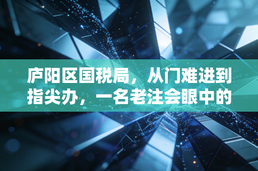 庐阳区国税局，从门难进到指尖办，一名老注会眼中的十年变迁与与合规思考