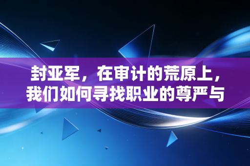 封亚军,在审计的荒原上,我们如何寻找职业的尊严与价值