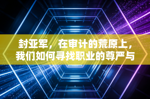 封亚军,在审计的荒原上,我们如何寻找职业的尊严与价值