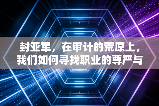 封亚军，在审计的荒原上，我们如何寻找职业的尊严与价值