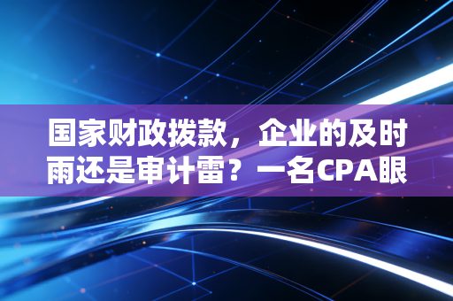 国家财政拨款，企业的及时雨还是审计雷？一名CPA眼中的资金真相