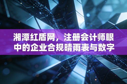 湘潭红盾网，注册会计师眼中的企业合规晴雨表与数字化转型的缩影