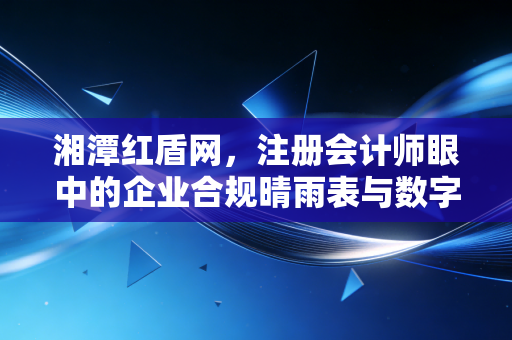 湘潭红盾网，注册会计师眼中的企业合规晴雨表与数字化转型的缩影