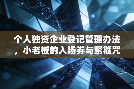 个人独资企业登记管理办法，小老板的入场券与紧箍咒——一位注会眼中的创业避坑指南