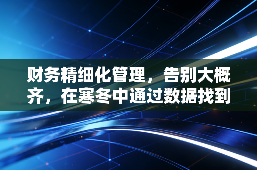 财务精细化管理,告别大概齐,在寒冬中通过数据找到生存的火种