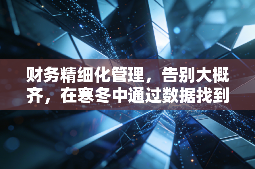 财务精细化管理，告别大概齐，在寒冬中通过数据找到生存的火种