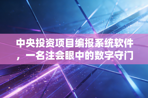中央投资项目编报系统软件,一名注会眼中的数字守门人与合规博弈