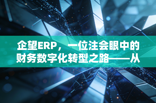 企望ERP，一位注会眼中的财务数字化转型之路——从账房先生到价值创造者的蜕变