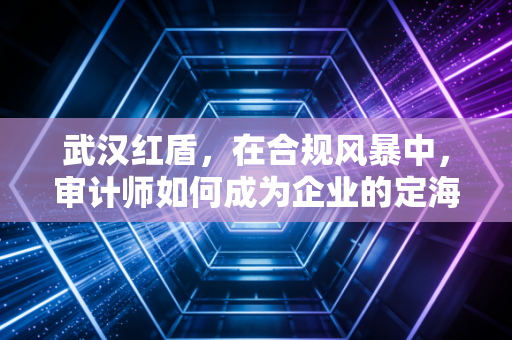 武汉红盾，在合规风暴中，审计师如何成为企业的定海神针