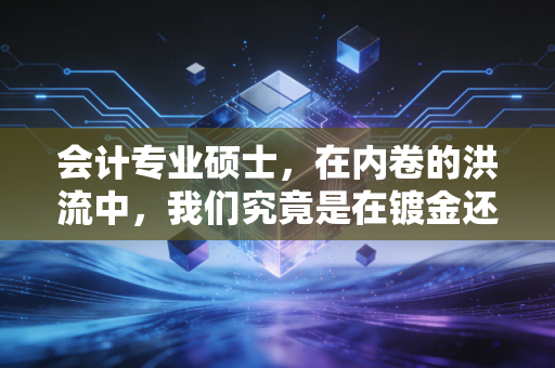 会计专业硕士,在内卷的洪流中,我们究竟是在镀金还是在镀铁?