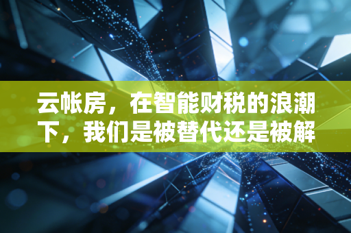 云帐房,在智能财税的浪潮下,我们是被替代还是被解放?