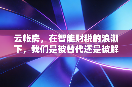 云帐房，在智能财税的浪潮下，我们是被替代还是被解放？