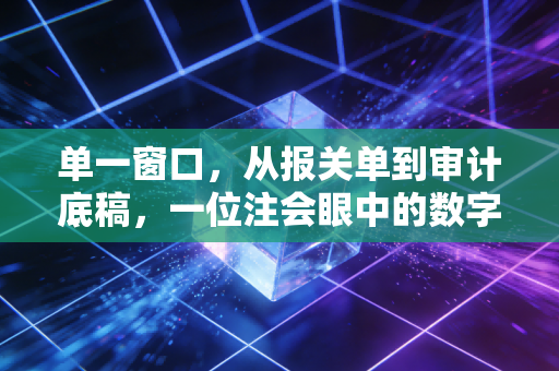 单一窗口,从报关单到审计底稿,一位注会眼中的数字化变革