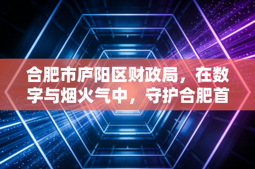 合肥市庐阳区财政局,在数字与烟火气中,守护合肥首善之区的每一分钱