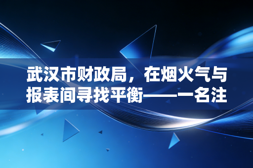 武汉市财政局，在烟火气与报表间寻找平衡——一名注会眼中的城市财政转型