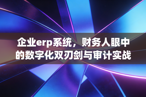 企业erp系统,财务人眼中的数字化双刃剑与审计实战录