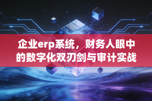 企业erp系统,财务人眼中的数字化双刃剑与审计实战录