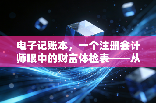 电子记账本，一个注册会计师眼中的财富体检表——从糊涂账到掌控人生