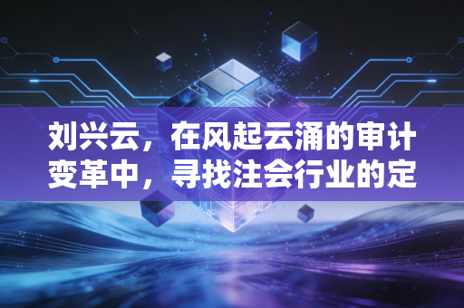 刘兴云,在风起云涌的审计变革中,寻找注会行业的定海神针