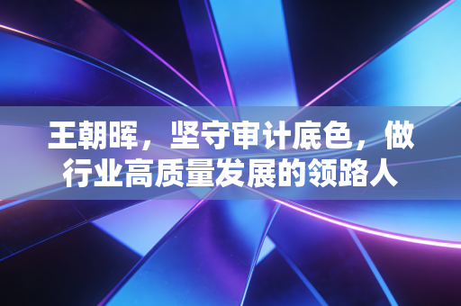 王朝晖,坚守审计底色,做行业高质量发展的领路人