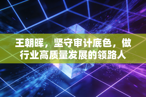 王朝晖，坚守审计底色，做行业高质量发展的领路人