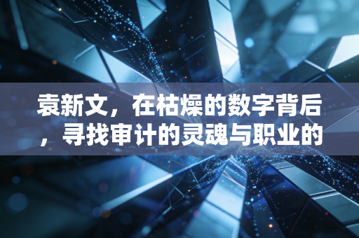 袁新文，在枯燥的数字背后，寻找审计的灵魂与职业的尊严