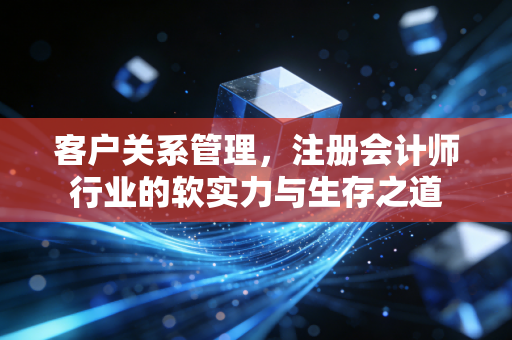 客户关系管理,注册会计师行业的软实力与生存之道