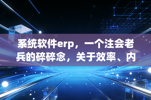 系统软件erp,一个注会老兵的碎碎念,关于效率、内控与那些年踩过的坑