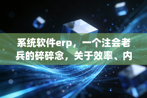 系统软件erp,一个注会老兵的碎碎念,关于效率、内控与那些年踩过的坑