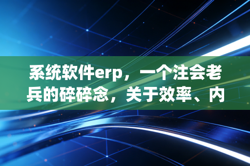 系统软件erp，一个注会老兵的碎碎念，关于效率、内控与那些年踩过的坑