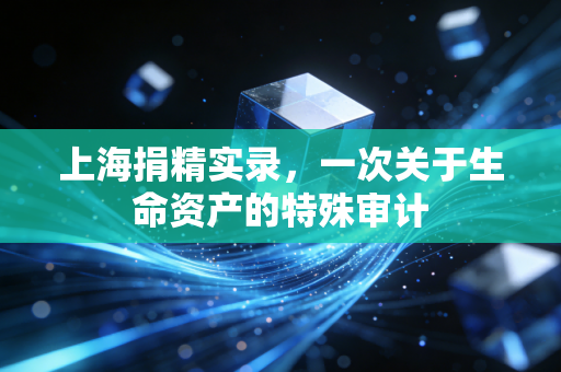 上海捐精实录,一次关于生命资产的特殊审计