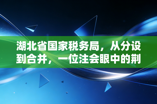 湖北省国家税务局，从分设到合并，一位注会眼中的荆楚税政变迁与实操感悟