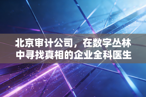 北京审计公司，在数字丛林中寻找真相的企业全科医生