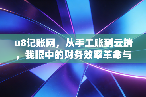 u8记账网，从手工账到云端，我眼中的财务效率革命与财务人的自我救赎