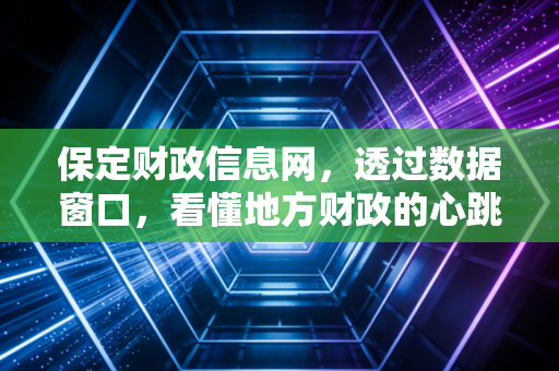 保定财政信息网，透过数据窗口，看懂地方财政的心跳与注会的机遇