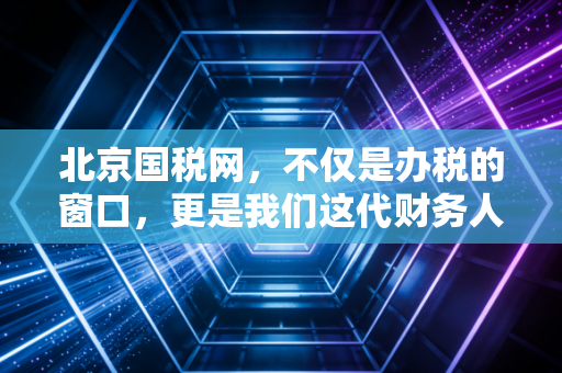 北京国税网，不仅是办税的窗口，更是我们这代财务人的战场与后盾