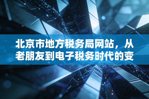北京市地方税务局网站，从老朋友到电子税务时代的变迁与思考