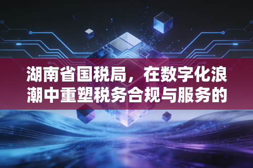 湖南省国税局，在数字化浪潮中重塑税务合规与服务的新生态