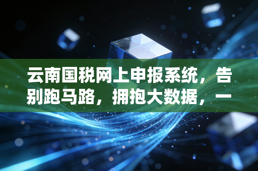 云南国税网上申报系统，告别跑马路，拥抱大数据，一位资深注会眼中的税务数字化变迁