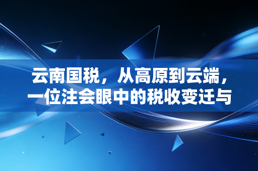 云南国税，从高原到云端，一位注会眼中的税收变迁与实战感悟