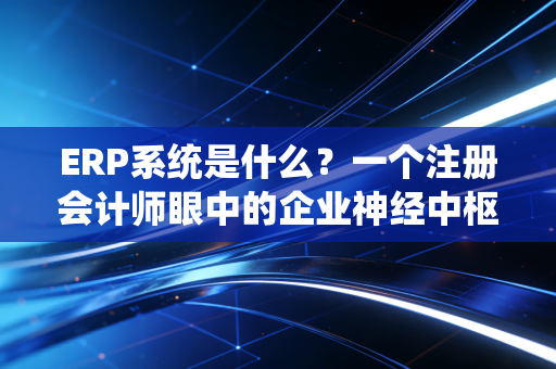 ERP系统是什么？一个注册会计师眼中的企业神经中枢与数字化生存法则