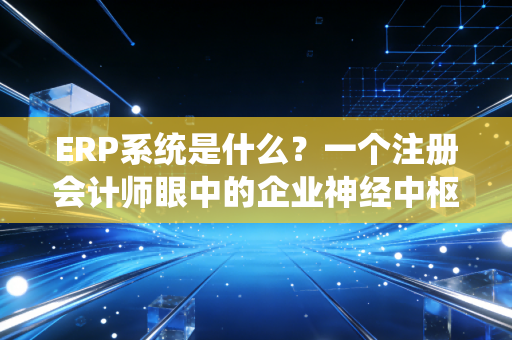 ERP系统是什么？一个注册会计师眼中的企业神经中枢与数字化生存法则