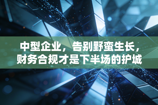 中型企业,告别野蛮生长,财务合规才是下半场的护城河