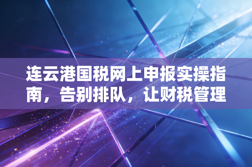 连云港国税网上申报实操指南，告别排队，让财税管理更从容