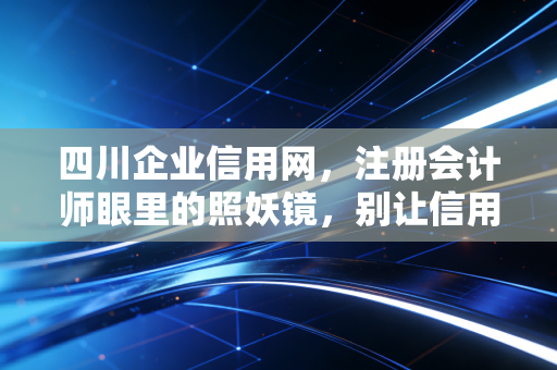 四川企业信用网，注册会计师眼里的照妖镜，别让信用毁了你的生意