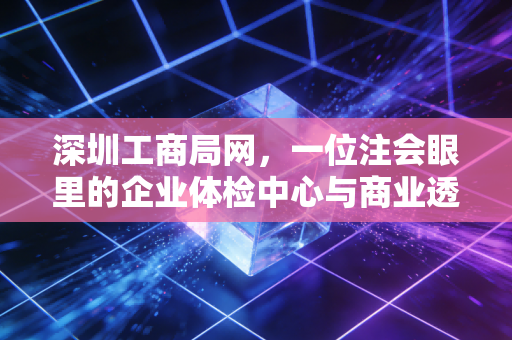 深圳工商局网,一位注会眼里的企业体检中心与商业透明化