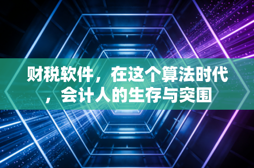 财税软件，在这个算法时代，会计人的生存与突围