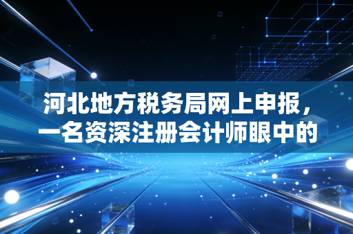 河北地方税务局网上申报，一名资深注册会计师眼中的数字化征管变迁与实操避坑指南