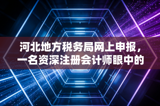 河北地方税务局网上申报，一名资深注册会计师眼中的数字化征管变迁与实操避坑指南